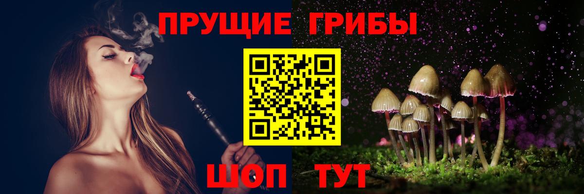 Псилоцибиновые грибы мицелий Заводоуковск